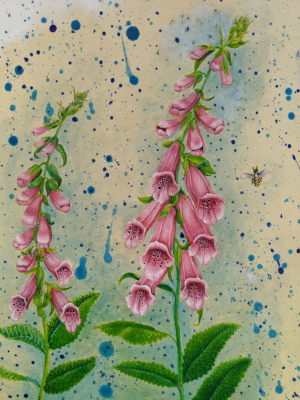 Foxgloves